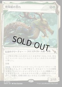 《育殻組の誉れ/The Pride of Hull Clade(0352)》【JPN】[MKM緑M]