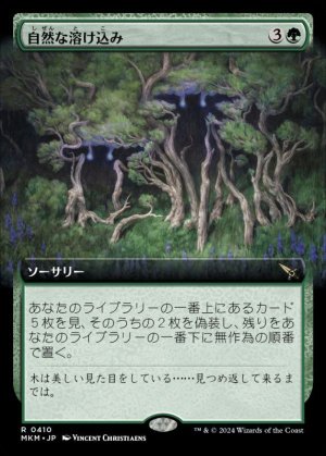 画像1: 自然な溶け込み/Hide in Plain Sight