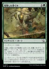 《荒廃した芽ぐみ/Blighted Burgeoning(0177)》【JPN】[MOM緑C]