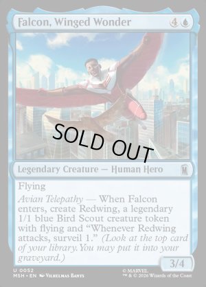 画像2: 翼を持つ戦士、ファルコン/Falcon, Winged Wonder
