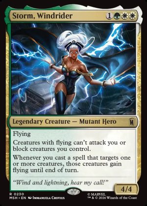画像2: ウィンドライダー、ストーム/Storm, Windrider