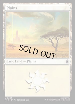 画像2: 平地/Plains