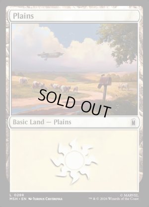 画像2: 平地/Plains