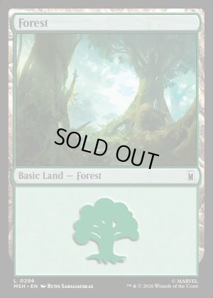画像2: 森/Forest