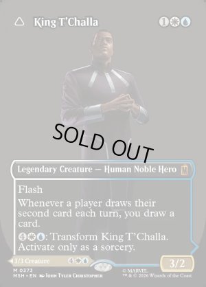 画像3: ティ・チャラ王/King T'Challa