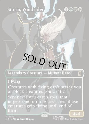 画像2: ウィンドライダー、ストーム/Storm, Windrider