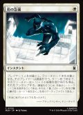 豹の急襲/Panther Pounce
