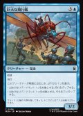 巨大な飛行蟻/Giant-Sized Flying Ant