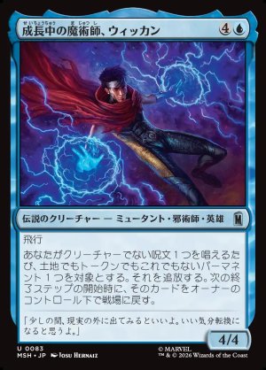 画像1: 成長中の魔術師、ウィッカン/Wiccan, Rising Magician