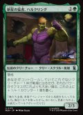 新星の猛者、ハルクリング/Hulkling, Burgeoning Bruiser