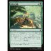 画像1: 回復の奥義/Restorative Technique (1)