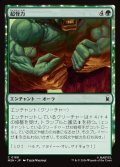 超怪力/Super Strength