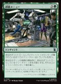 訓練メニュー/Training Regimen