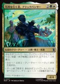 先陣を行く者、ブラックパンサー/Black Panther, Vanguard