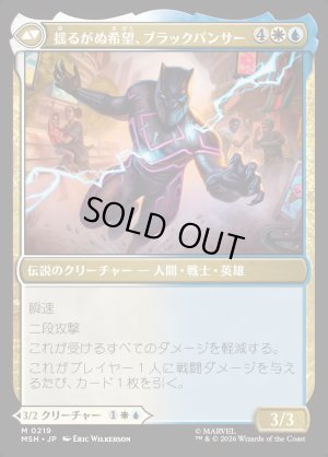 画像2: ティ・チャラ王/King T'Challa