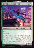 助けに参上、スパイダーマン/Spider-Man, To the Rescue