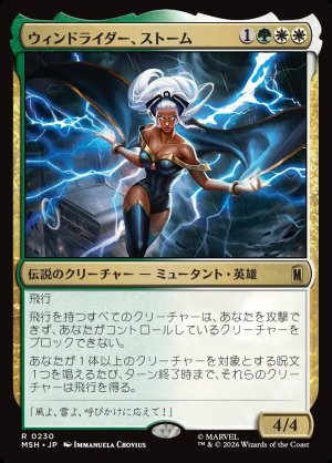 画像1: ウィンドライダー、ストーム/Storm, Windrider
