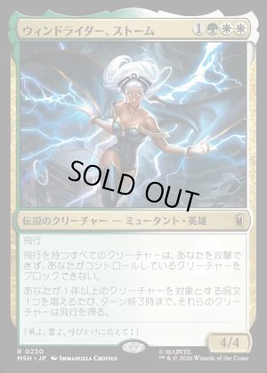 画像1: ウィンドライダー、ストーム/Storm, Windrider