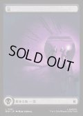 沼/Swamp