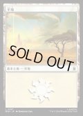 平地/Plains