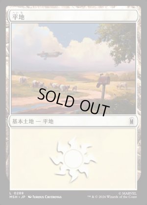 画像1: 平地/Plains