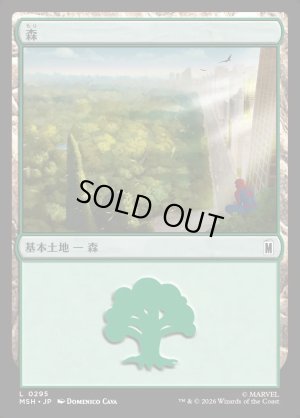 画像1: 森/Forest