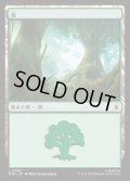 森/Forest