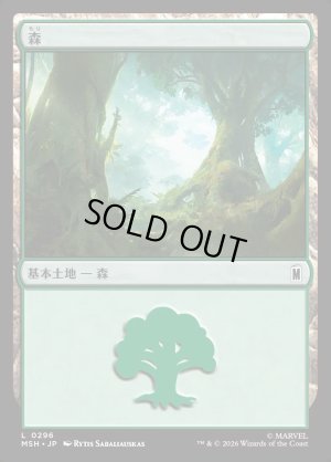 画像1: 森/Forest