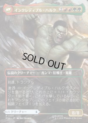画像2: ブルース・バナー/Bruce Banner