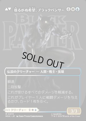 画像2: ティ・チャラ王/King T'Challa