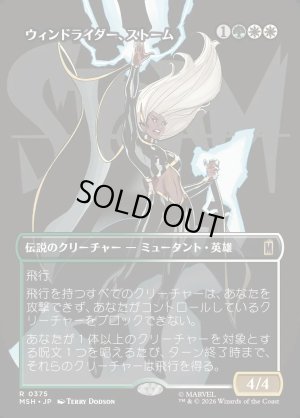 画像1: ウィンドライダー、ストーム/Storm, Windrider
