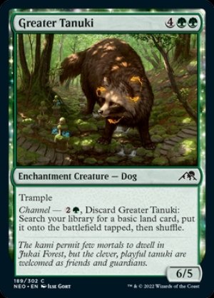 画像2: 大狸/Greater Tanuki