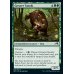 画像2: 大狸/Greater Tanuki (2)