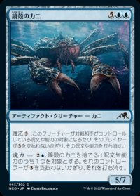 鏡殻のカニ/Mirrorshell Crab