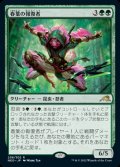 《春葉の報復者/Spring-Leaf Avenger(208)》【JPN】[NEO緑R]