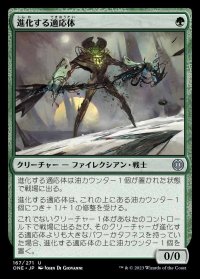 進化する適応体/Evolving Adaptive