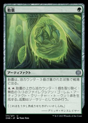 画像1: 胎嚢/Incubation Sac