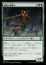 捕食の聖騎士/Paladin of Predation