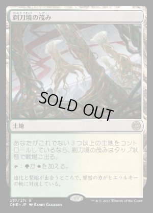 画像1: 剃刀境の茂み/Razorverge Thicket