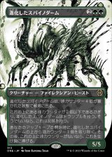 進化したスパイノダーム/Evolved Spinoderm