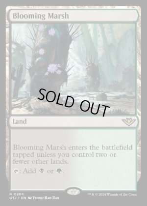 画像2: 花盛りの湿地/Blooming Marsh
