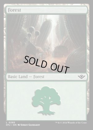 画像2: 森/Forest