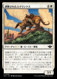 訓練されたエイリンクス/Trained Arynx