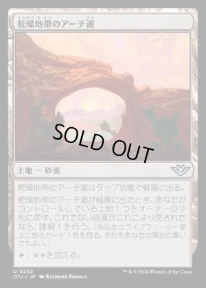 画像1: 乾燥地帯のアーチ道/Arid Archway