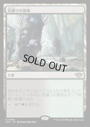 画像1: 花盛りの湿地/Blooming Marsh