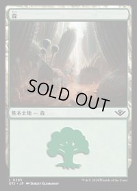 森/Forest