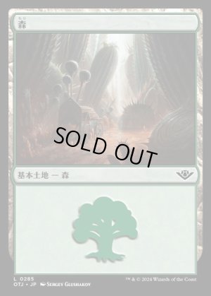 画像1: 森/Forest