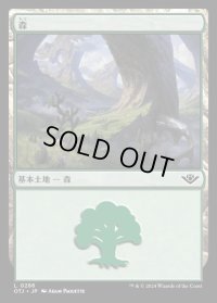 森/Forest