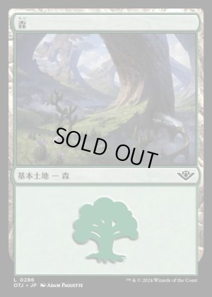 画像1: 森/Forest