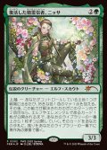 復活した精霊信者、ニッサ/Nissa, Resurgent Animist[PWS 2025 Spring]